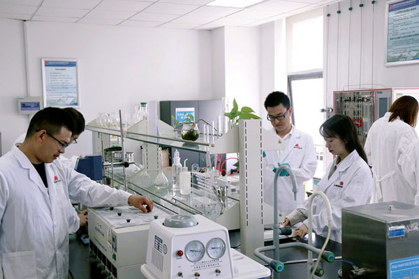 大唐环境：人才培养 为高质量发展注入新动能