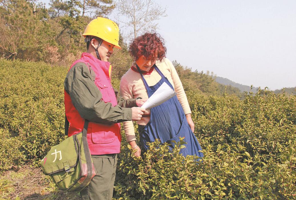 江西省永修县：供电给力 柑橘飘香