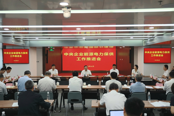 国资委召开中央企业能源电力保供工作推进会