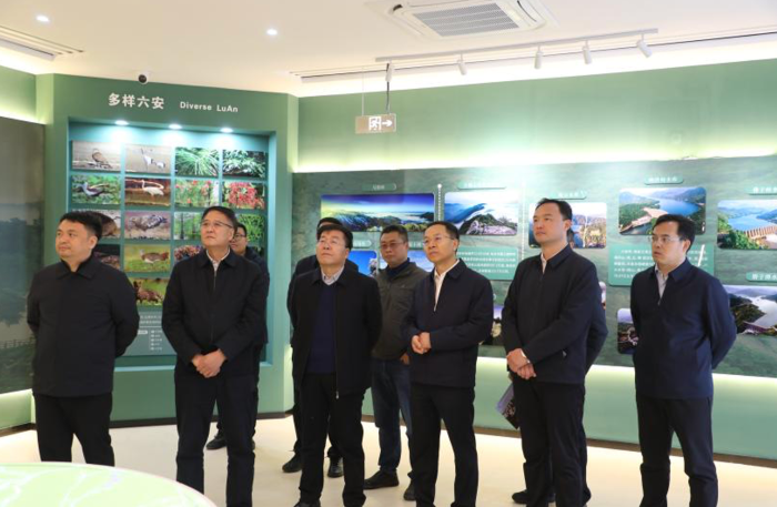 三峡集团：着眼“三个坚持”严督实导 确保主题教育取得实效