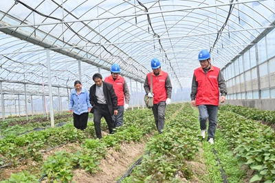 国网息县供电公司满格电照亮致富新“薯”光