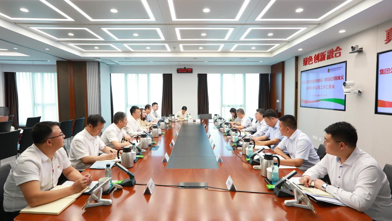 陈维义到国家电投财务公司调研