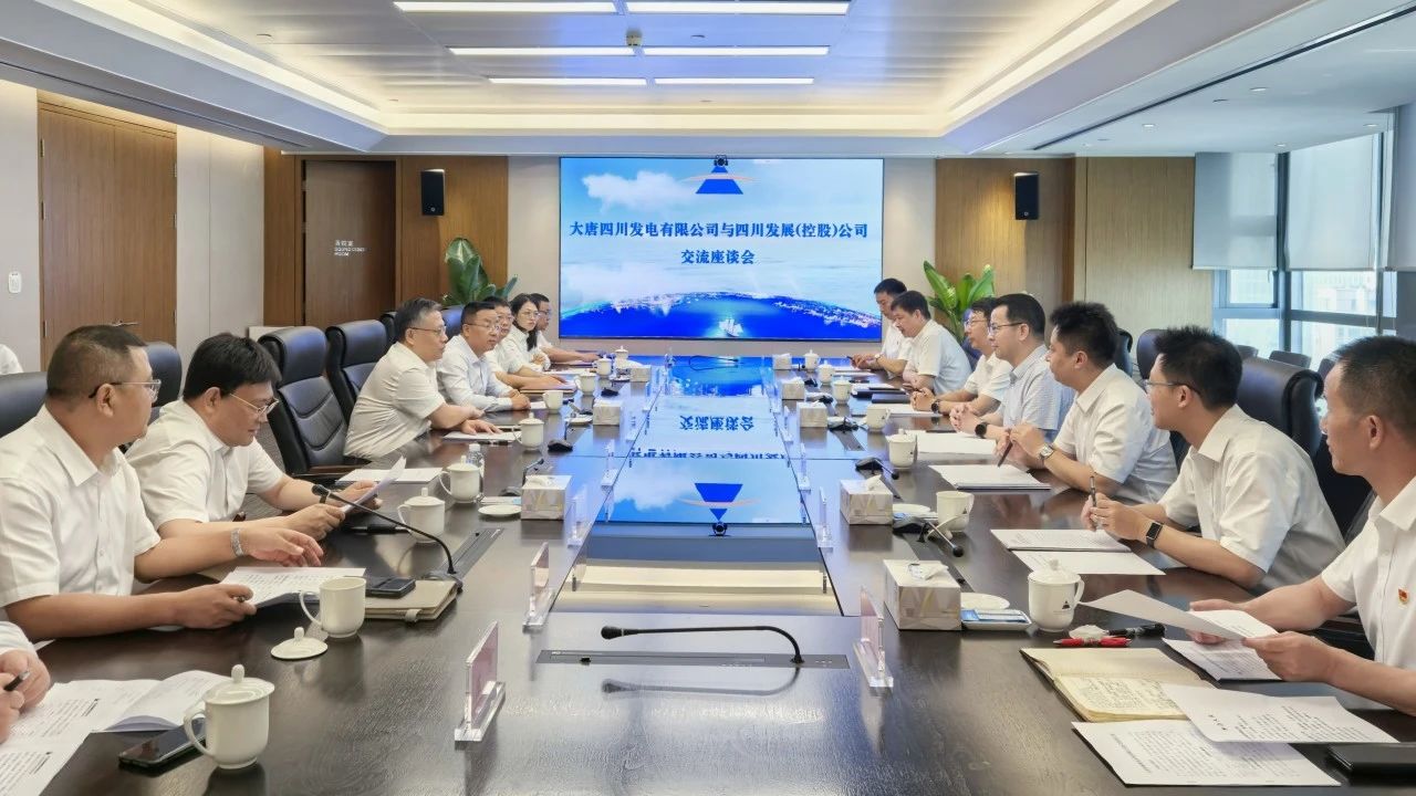 大唐四川公司与四川发展(控股)公司会谈