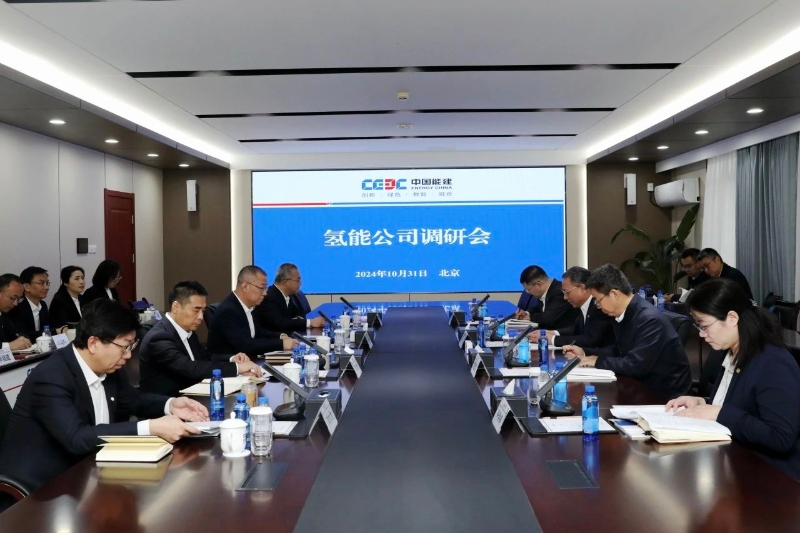中国能建党委副书记、总经理倪真到正规买球app排行榜平台公司调研