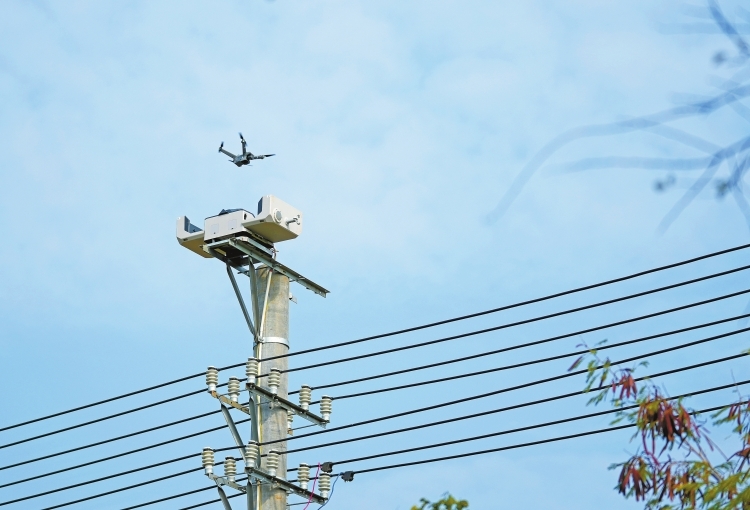广西解锁低空经济应用新场景