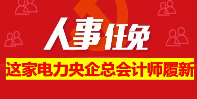这家电力央企总会计师履新