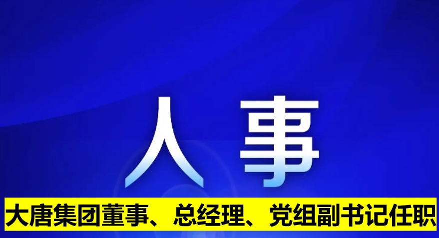 大唐集团董事、总经理、党组副书记任职