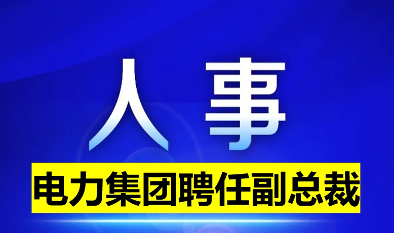 电力集团聘任副总裁